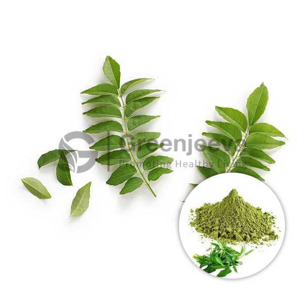 Curry Leaf Extract