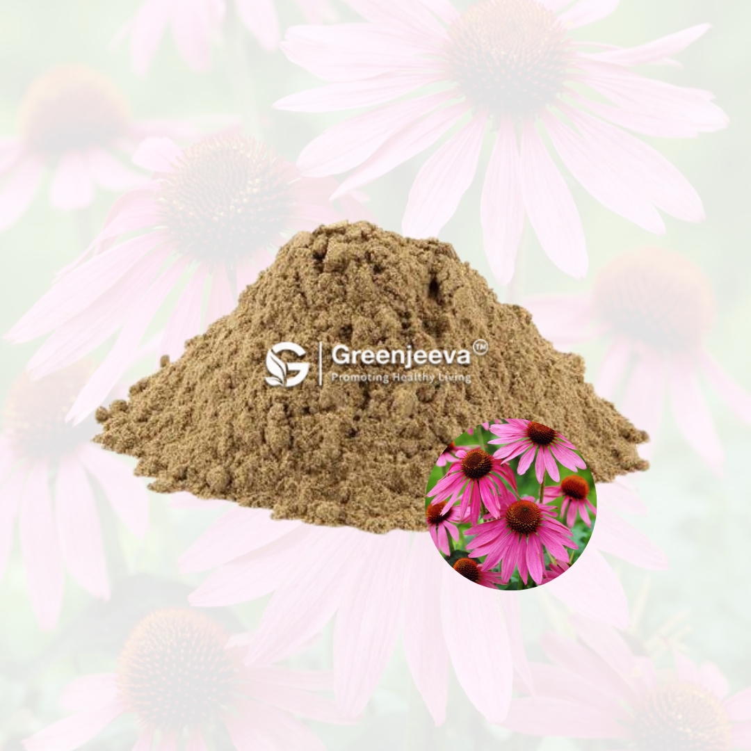 Echinacea Extract Powder Supplier in Canada