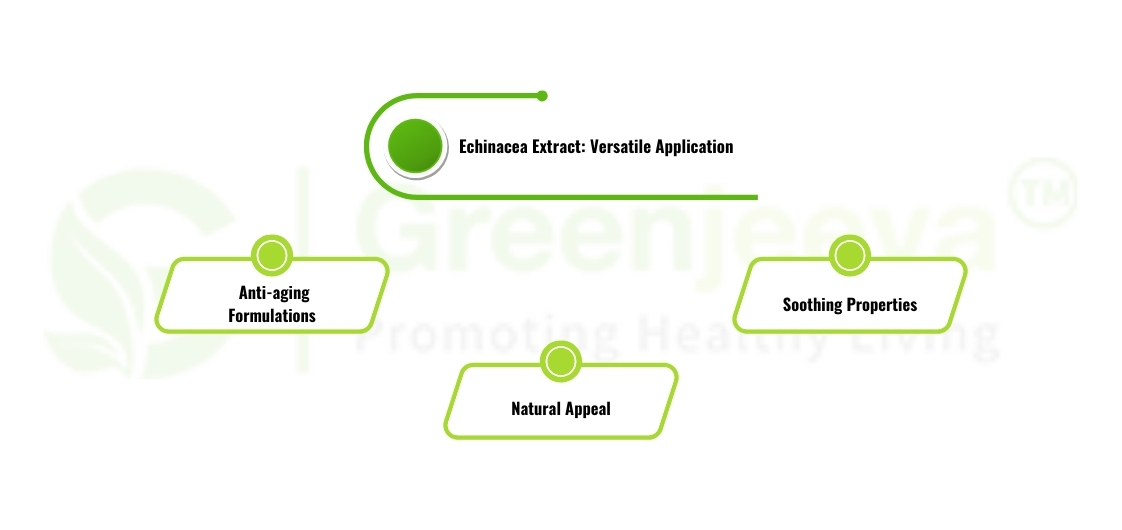Echinacea Extract: Versatile Ingredient