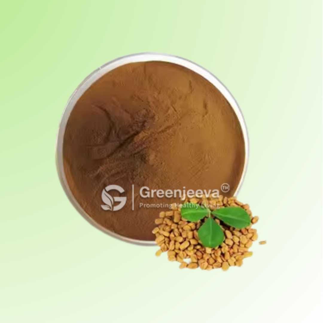 Bulk Fenugreek Extract Powder 50% Saponins UV Supplier