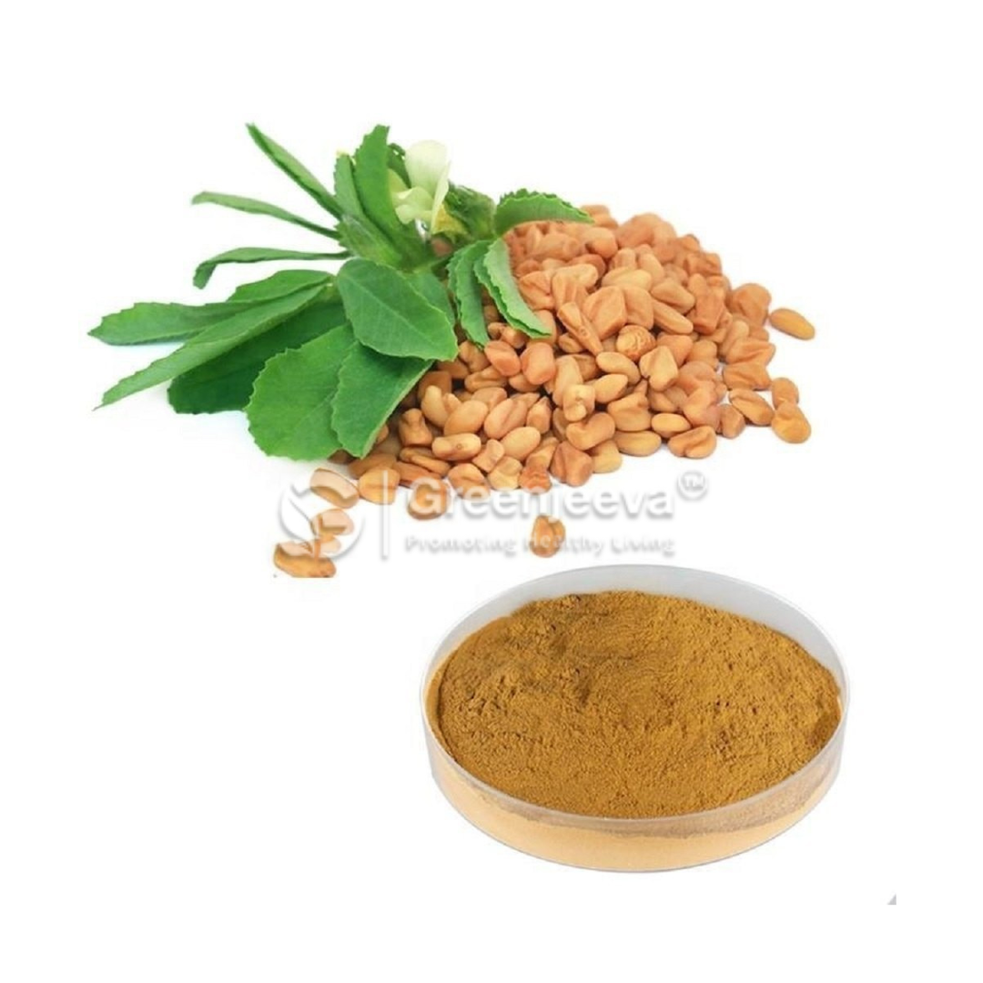 Bulk Fenugreek Extract Powder