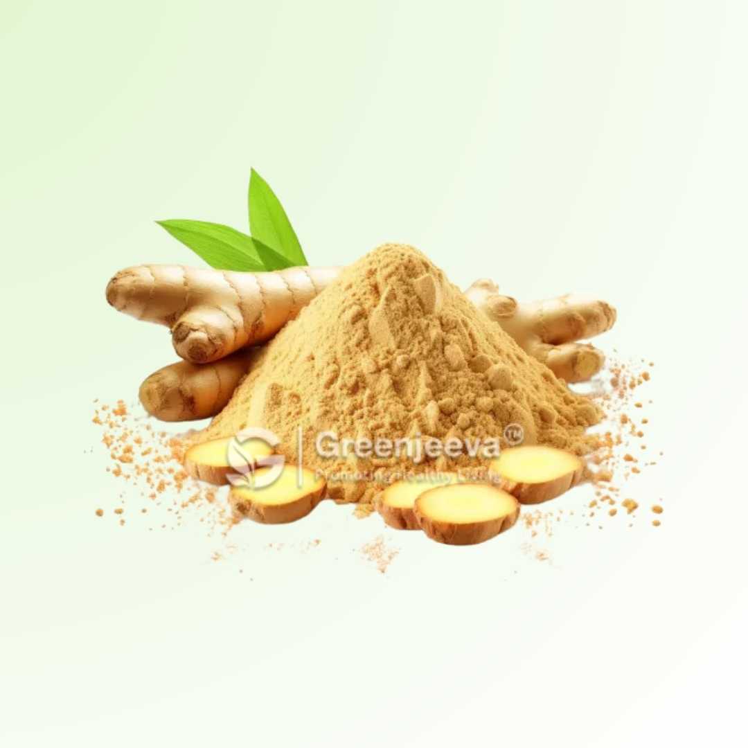 Bulk supplier of Ginger Extract Powder 10_1