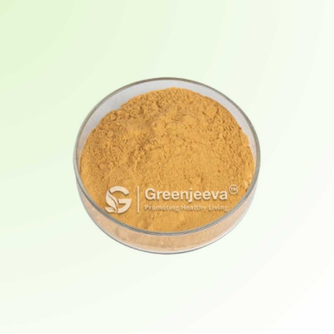 Bulk Supplier of Ginger Extract Powder 2.5% Gingerol HPLC