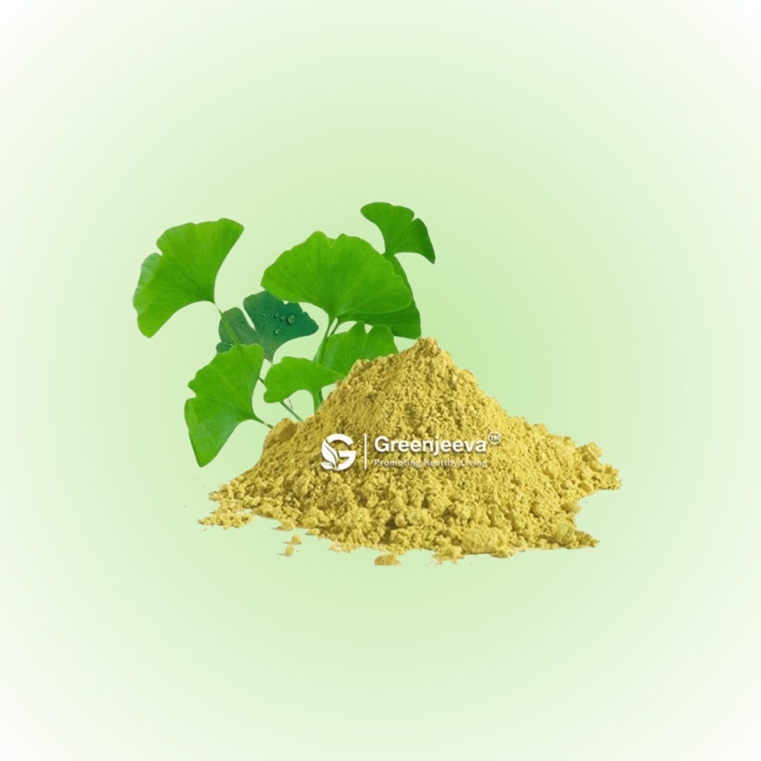 Bulk supplier of Gingko Extract Powder 6_1