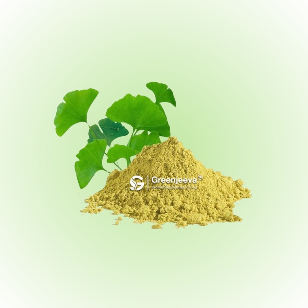 Bulk Supplier of Ginkgo Biloba Extract Powder 10_1