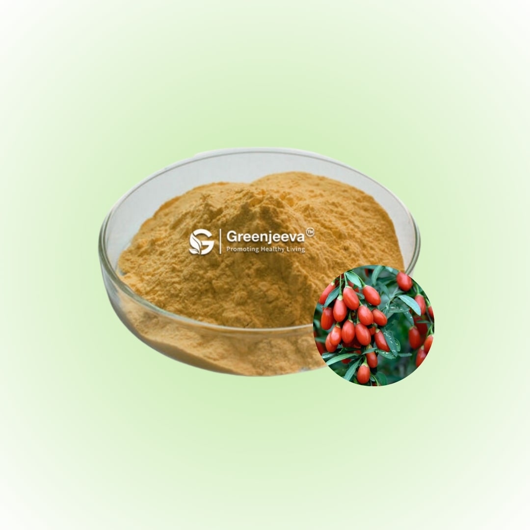 Bulk Goji Berry Extract Powder 10_1 supplier in Canada