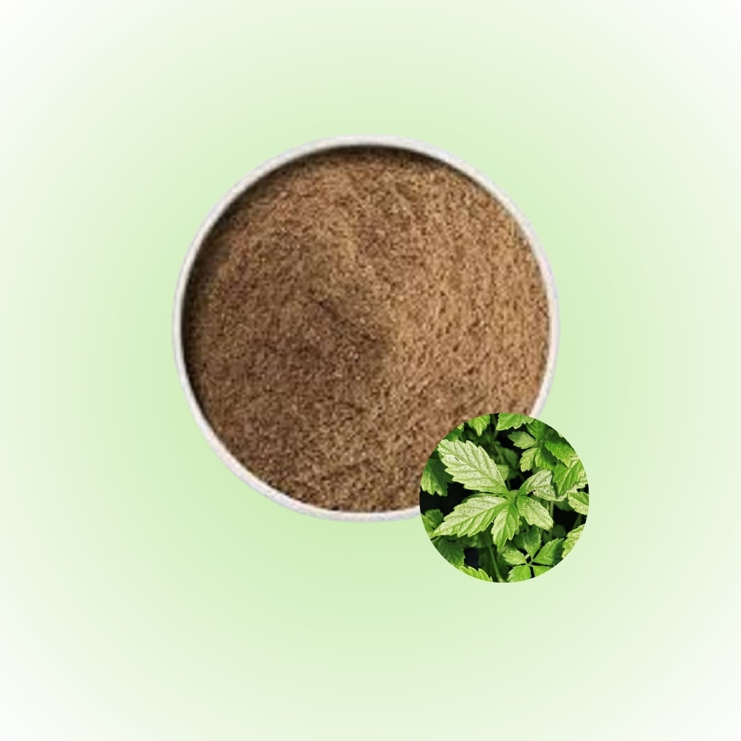 Bulk Gynostemma pentaphyllum Extract Powder 10_1, TLC Supplier in canada