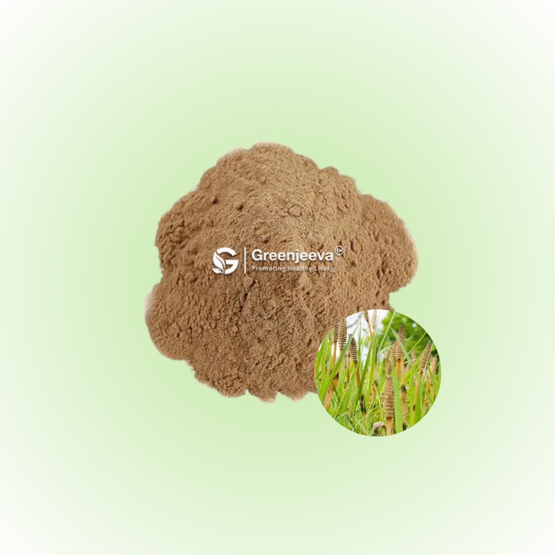 Bulk Horsetail Extract Powder 10_1 Supplier in Canada