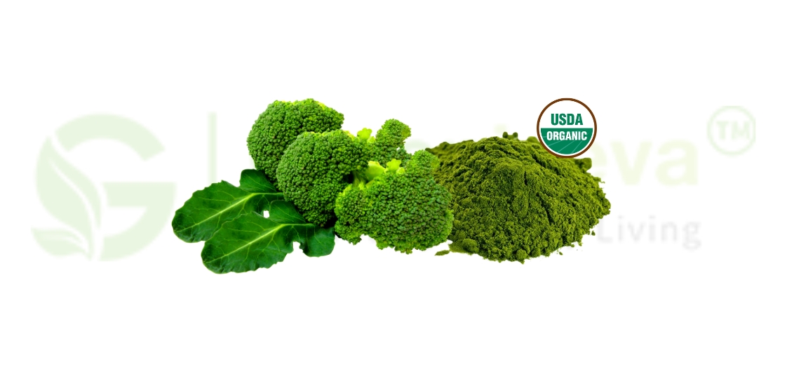 Organic Broccoli Powder in Health Foods