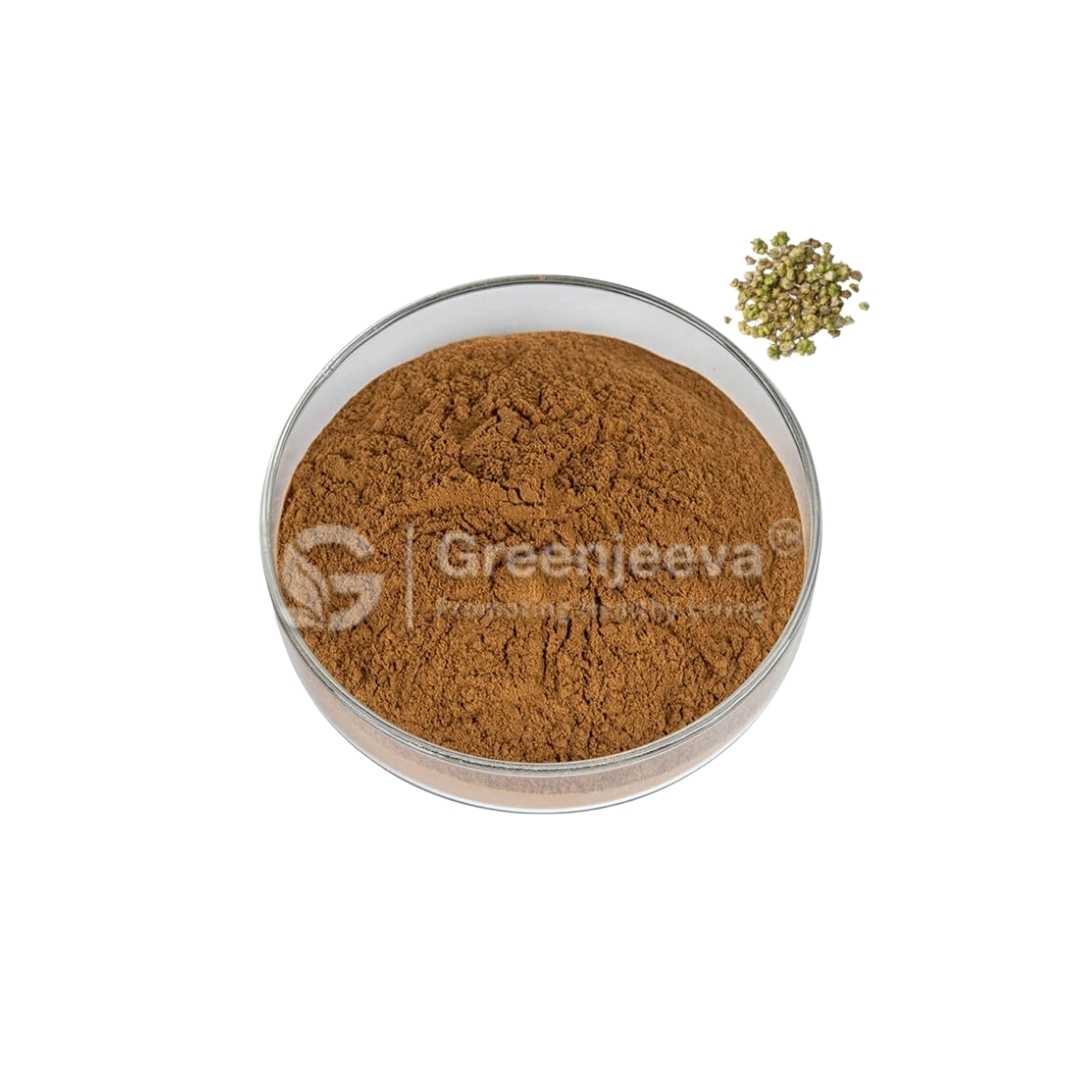 Bulk Supplier of Tribulus Terrestris Extract Powder 40% Total Saponins UV in Canada