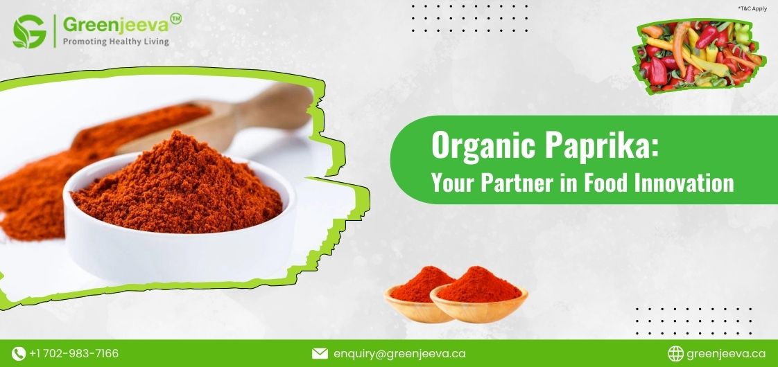 Organic Paprika Powder Food Industry