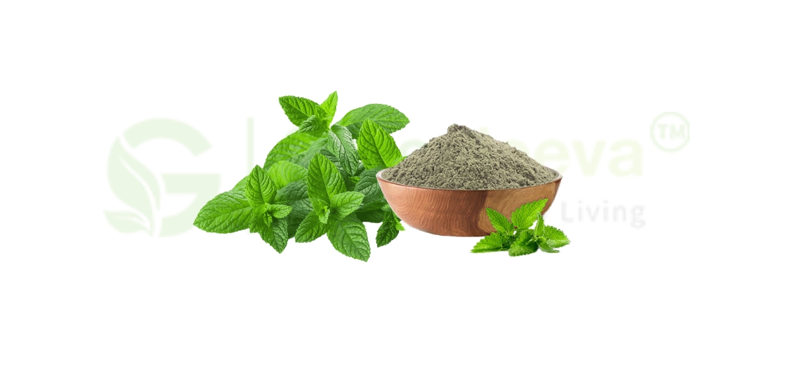 Peppermint Extract vs. Leaf Powder: A Comparison