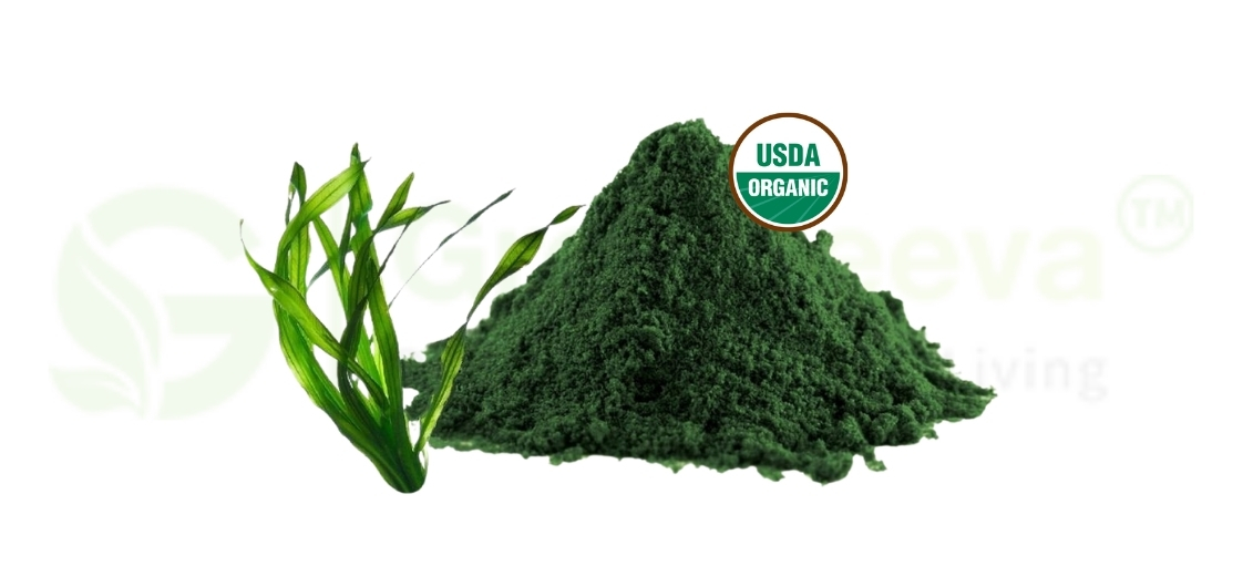 Innovation Spotlight: Spirulina-Powered Products