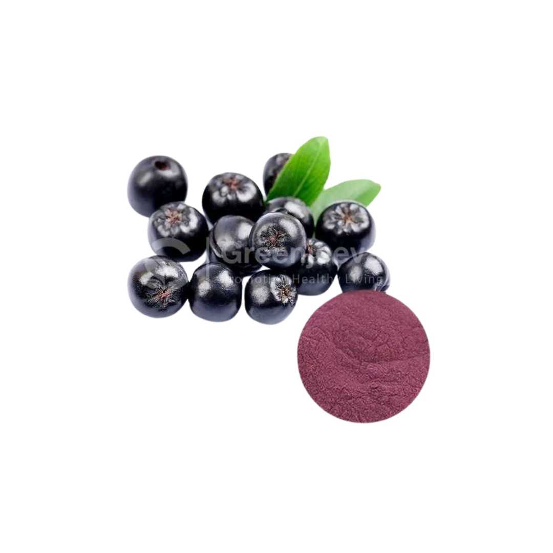 Bulk Supplier of Aronia Extract Powder in Canada