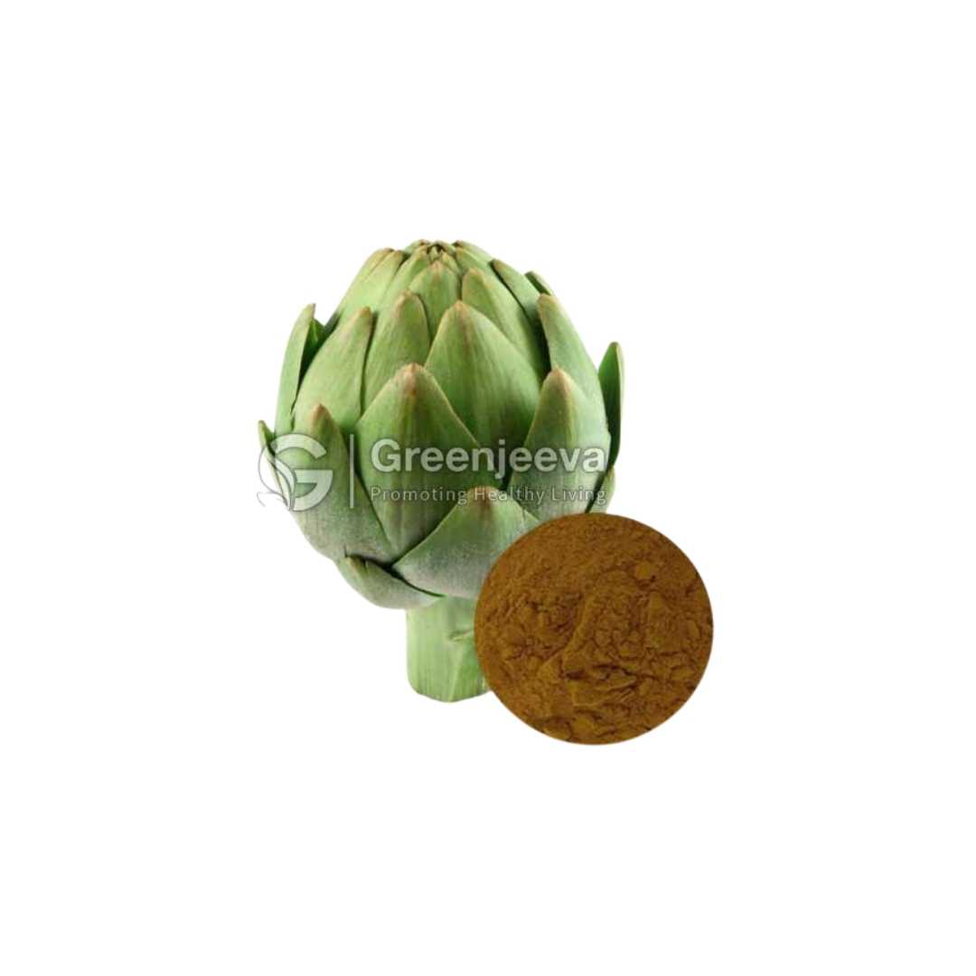 Bulk Supplier of Artichoke Extract Powder 5% Cynarin, UV in Canada