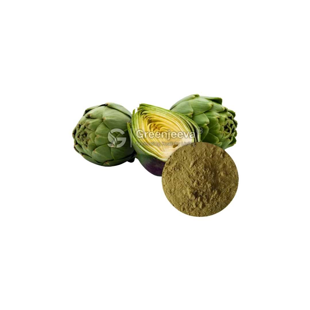 Bulk Supplier of Artichoke Leaf Extract Powder 10:1 in Canada