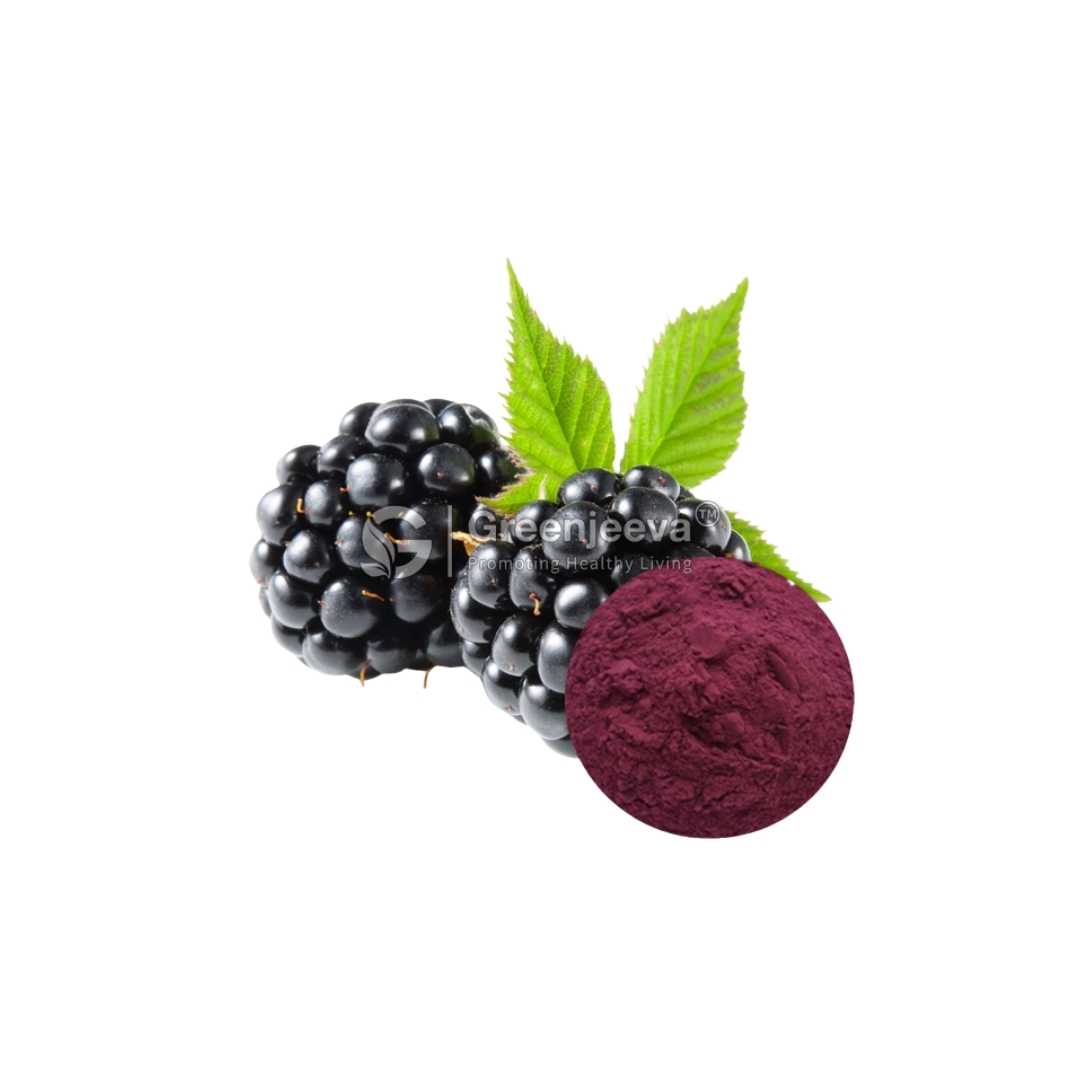 Bulk Supplier of Blackberry Extract Powder 10:1 in Canada