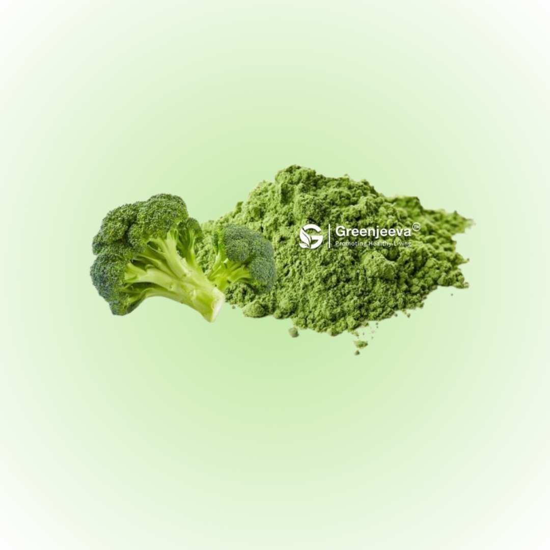 Bulk Supplier of Broccoli Sprout Extract Powder 10:1 in Canada