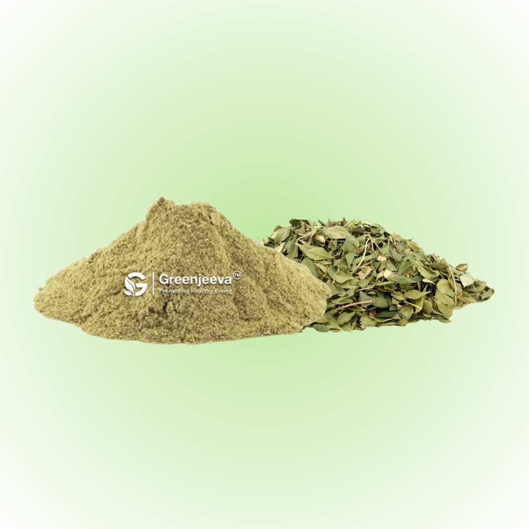 Bulk Supplier of Buchu Leaf Extract Powder10:1 in Canada