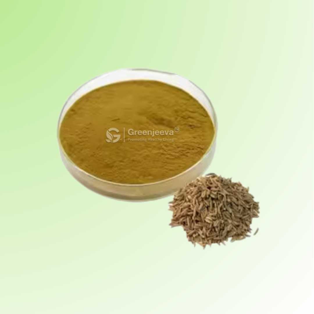 Bulk Supplier of Caraway Extract Powder 10:1 in Canada