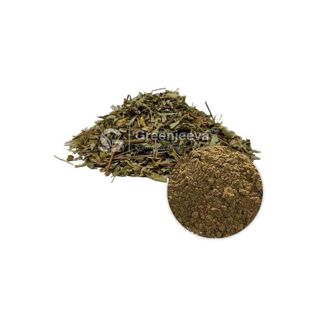 Bulk Supplier of Chanca Piedra Extract Powder 10:1 in Canada