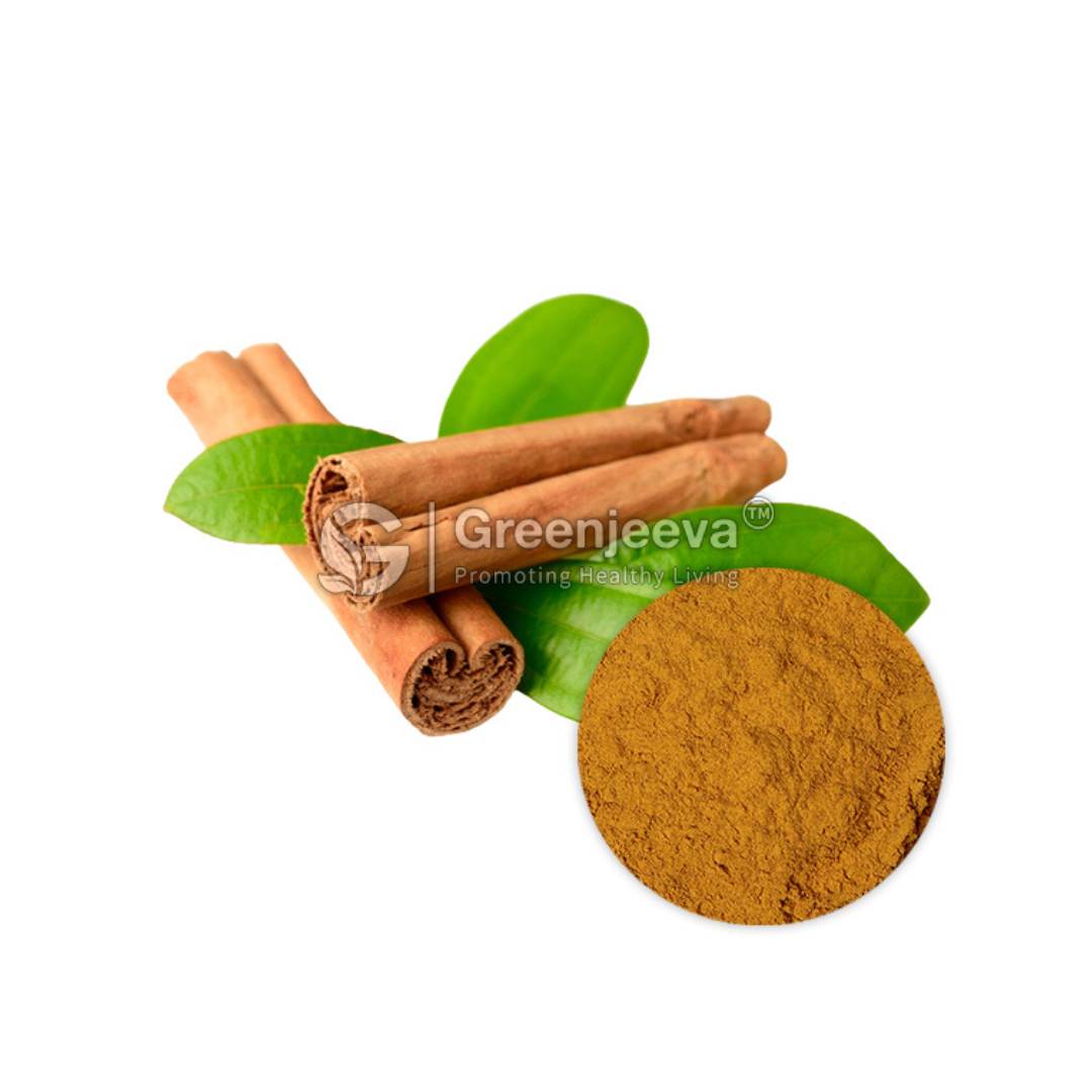 Bulk Supplier of Cinnamon Extract Powder 4:1 in Canada