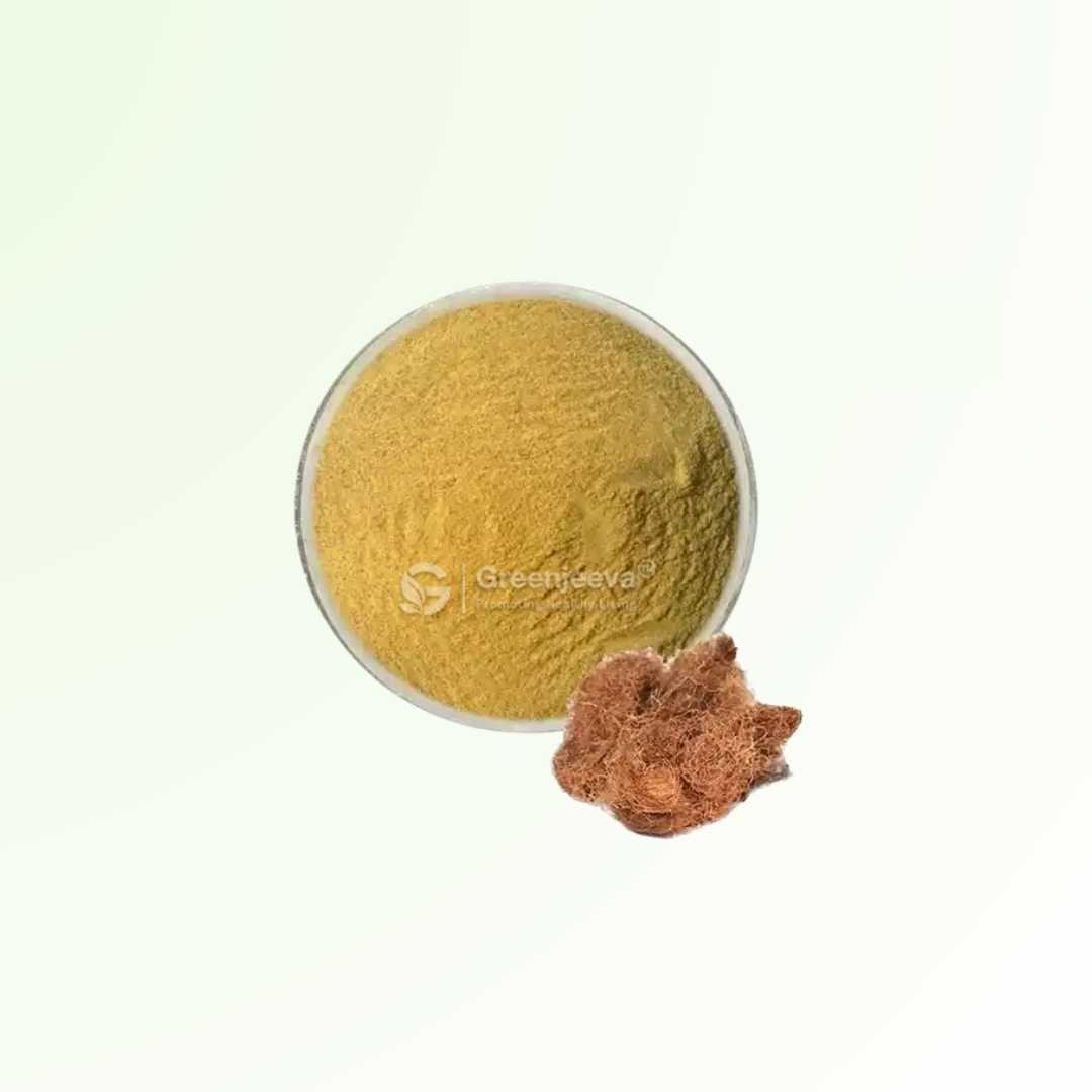 Bulk Supplier of Corn silk Extract Powder 10:1 in Canada