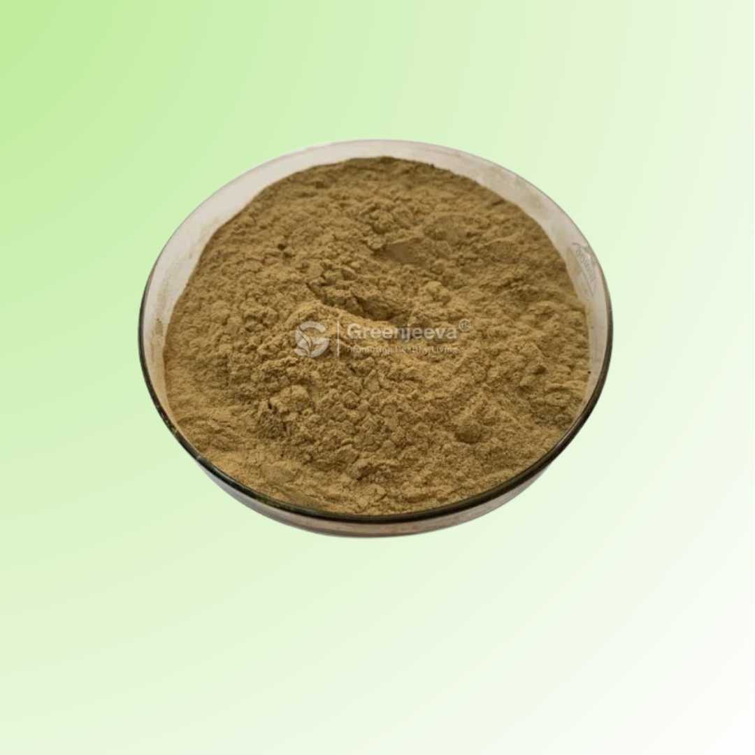 Bulk Supplier of Cranberry Extract Powder 10:1 in Canada