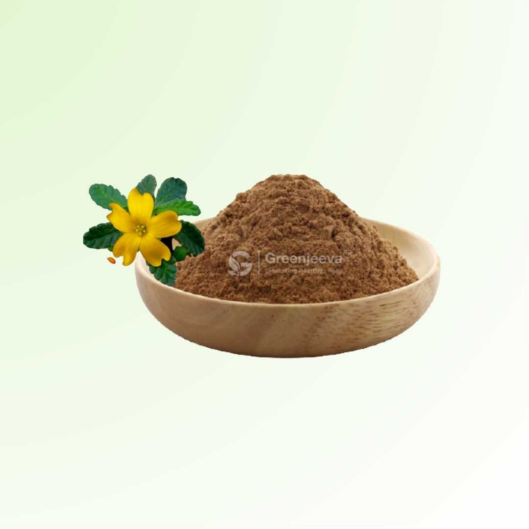 Bulk Supplier of Damiana Extract Powder 10:1 in Canada