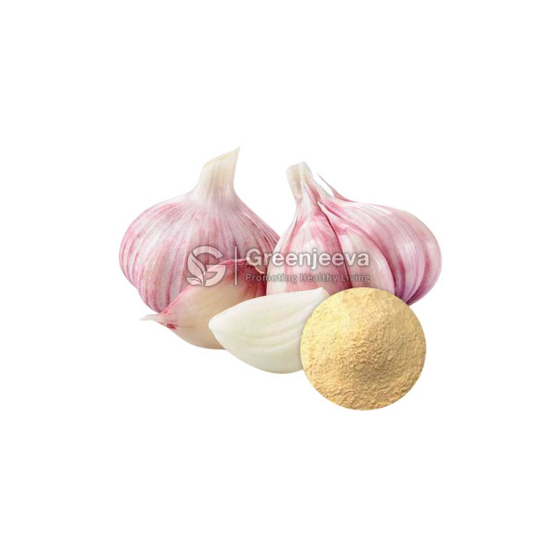 Bulk Supplier of Garlic Extract Powder 1% Allicin in Canada