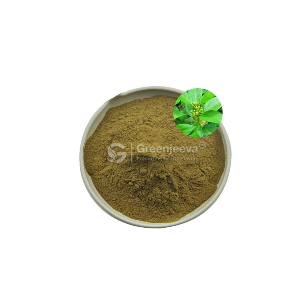 Bulk Supplier of Gervao Leaf Extract Powder in Canada