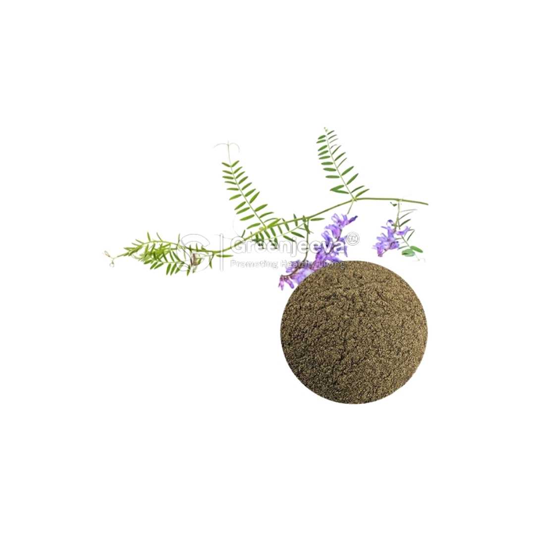 Bulk Supplier of Goat's Rue Seed Extract Powder 10:1, TLC in Canada