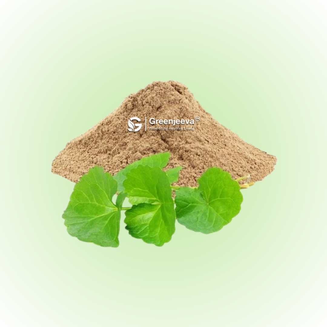 Bulk Gotu Kola Extract Powder 10:1 Supplier - Green Jeeva