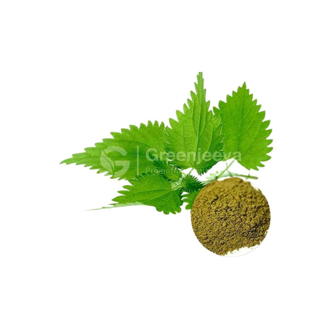 Bulk Supplier of Nettle Leaf Extract Powder 10:1 in Canada