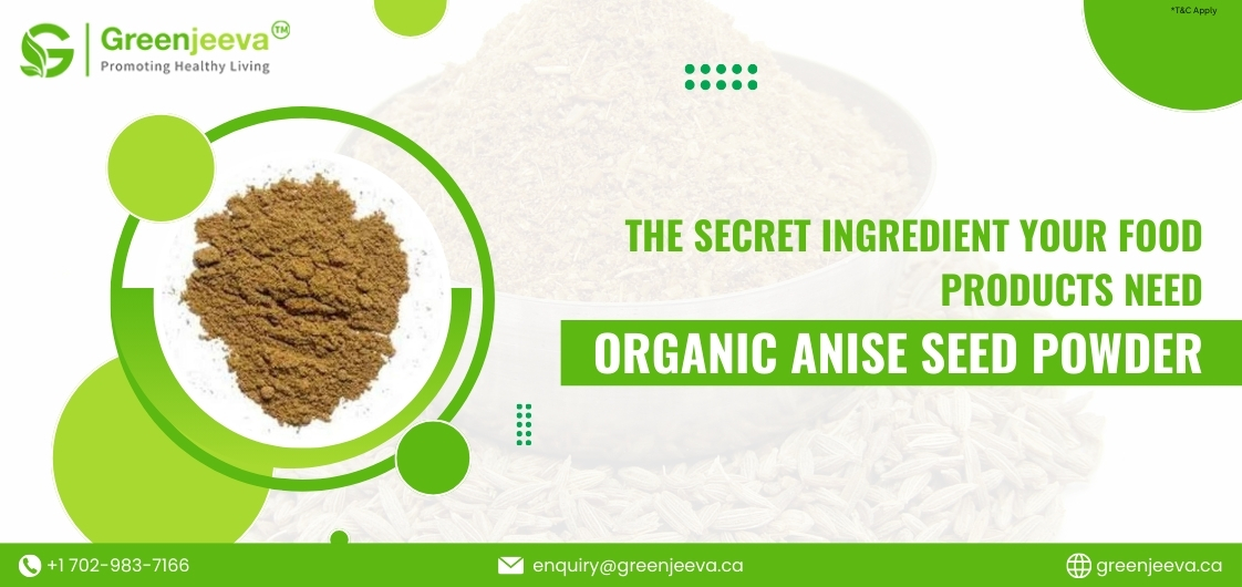 Anise Seed Powder for Food Manufacturers