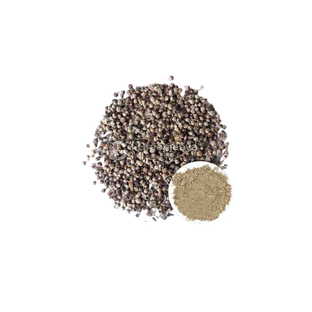 Bulk Supplier of Organic Chaste Berry Powder in Canada