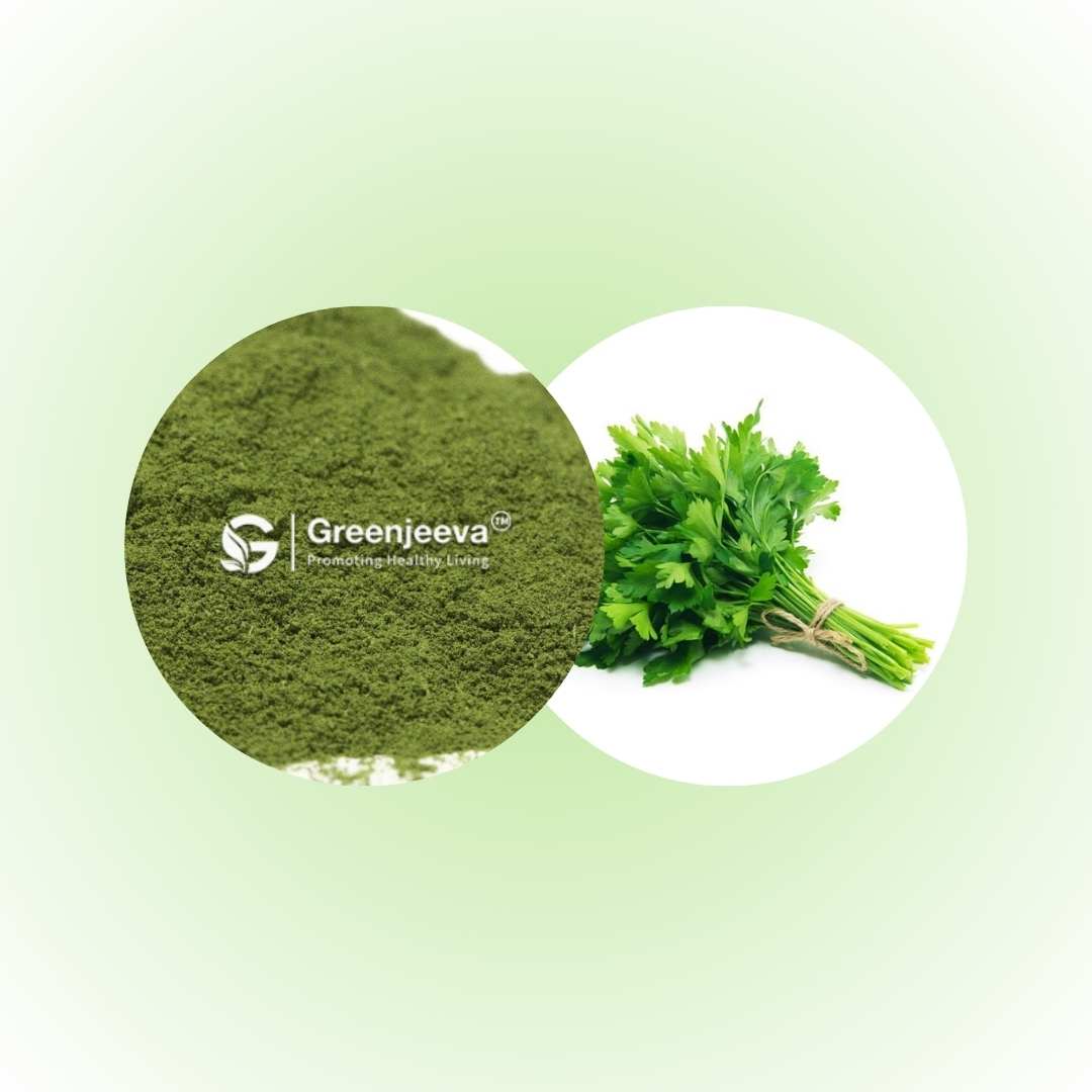 Organic Cilantro powder, used for its distinct flavor and detoxifying benefits.