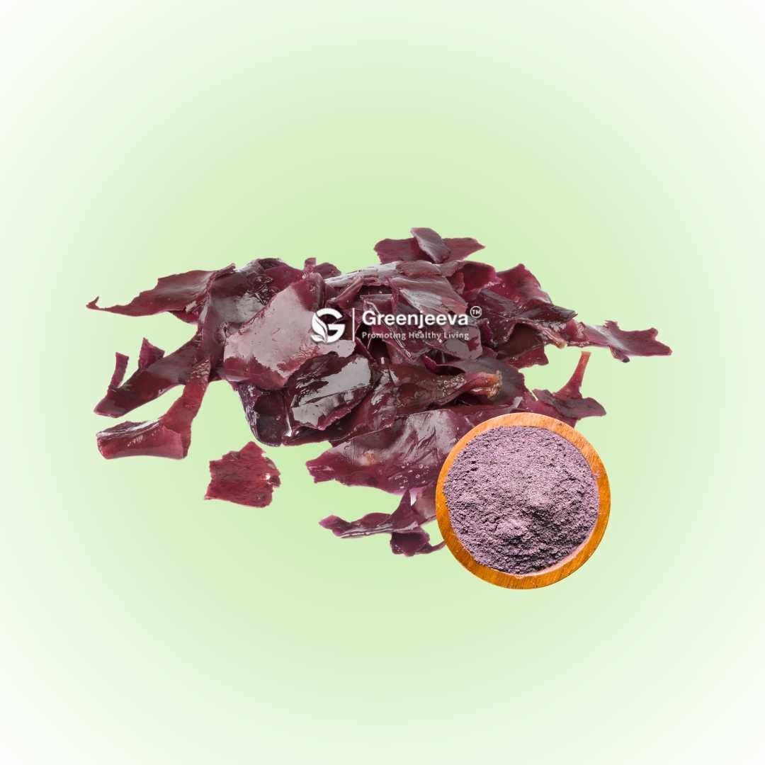 Organic Dulse powder, a seaweed rich in minerals and used as a nutritious seasoning.