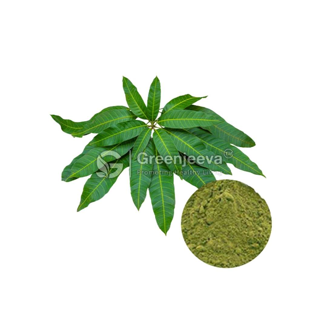 Bulk Supplier of Organic Mango Leaf Powder in Canada