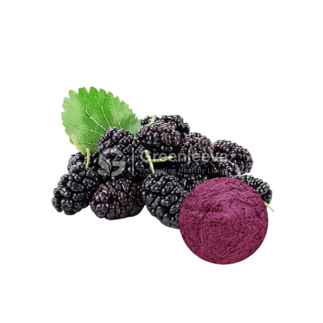 Bulk Supplier of Organic Mulberry Juice Powder in Canada