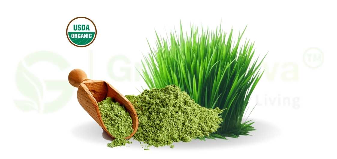 Organic Oat Grass Powder in Cosmetics and Skincare 