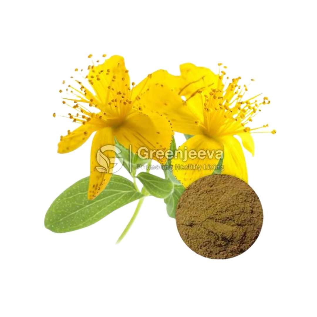 Bulk Supplier of Organic St. John’s Wort Powder in Canada