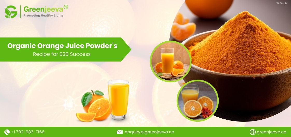 Organic Orange Juice Powder in Beverage Industry