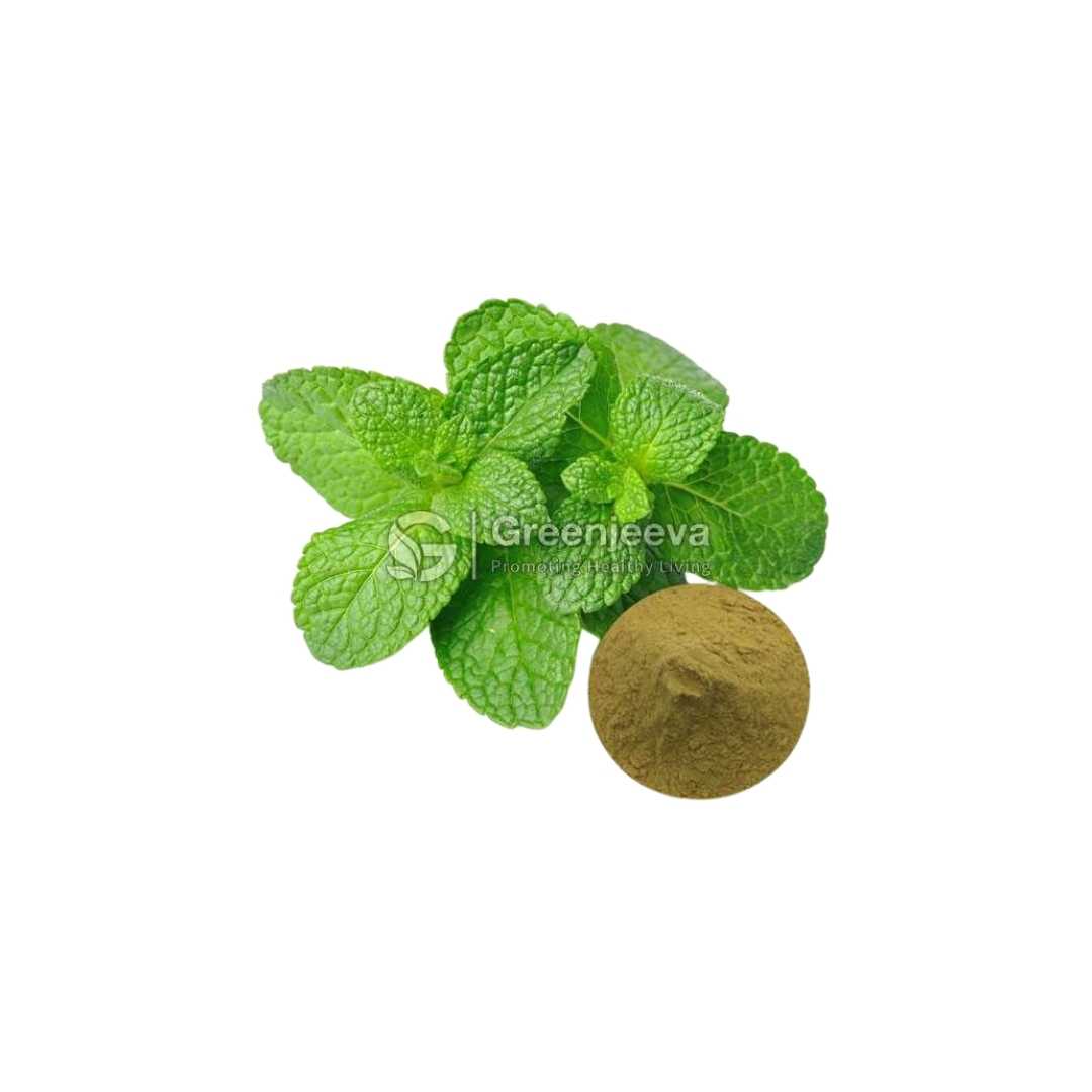 Bulk Supplier of Peppermint Extract Powder 10:1 in Canada