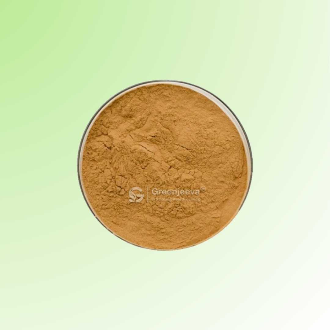 Bulk Supplier of Rumex Acetosa Root Extract Powder 4:1 in Canada