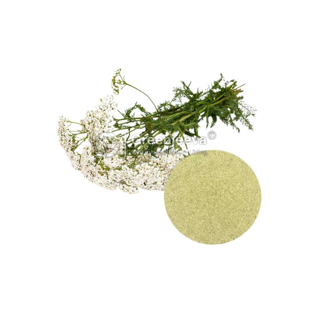 Bulk Supplier of Yarrow Extract Powder 10:1 in Canada