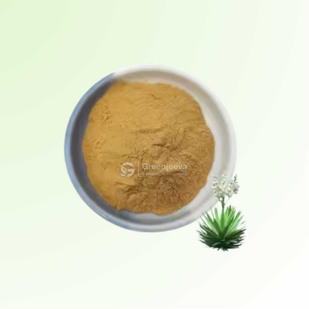 Bulk Supplier of Yucca root extract powder 10:1 in CANADA