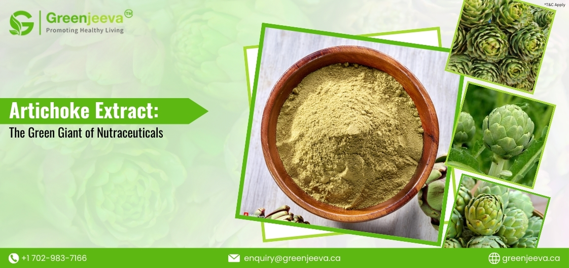 Artichoke Leaf Extract Powder: Key Benefits Driving B2B Demand in Health Industries