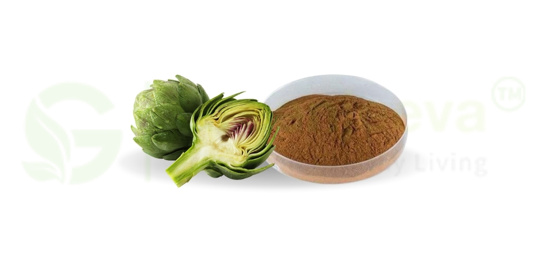 artichoke leaf extract powder