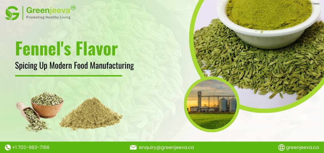 Innovative Applications of Fennel Seed Powder in Food Manufacturing